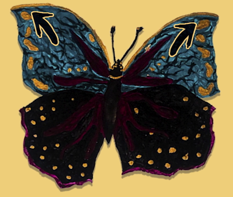 schmetterling